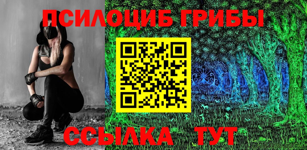 Галлюциногенные грибы мицелий  Вход с VPN  наркотики  Советский  Псилоцибиновые грибы Psilocybe 