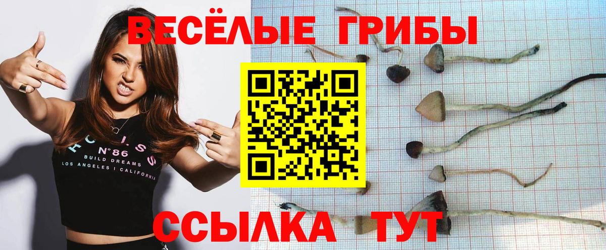 Галлюциногенные грибы Magic Shrooms Советский